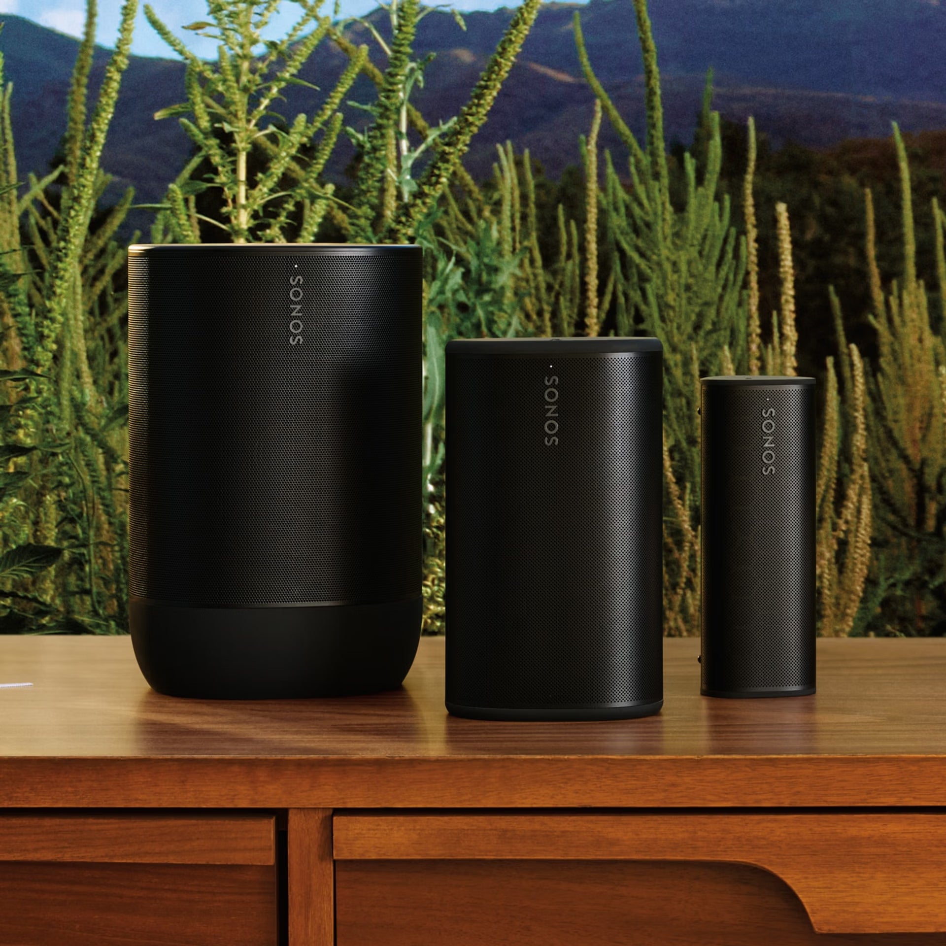Sonos Play